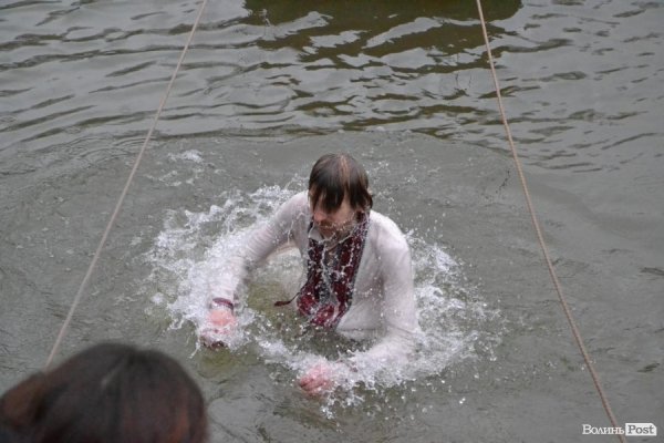 Як Шиба і Пирожик «моржували». ФОТО