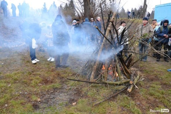 Як Шиба і Пирожик «моржували». ФОТО