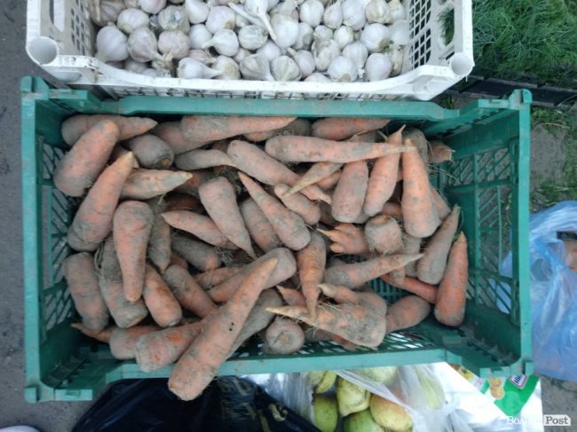 Дорожче, ніж персики: скільки коштує морква на луцькому ринку 