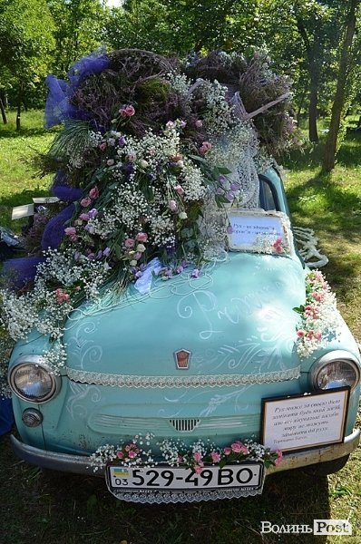 Управління охорони здоровя, ГО Допоможемо собі, Муніципальна каса