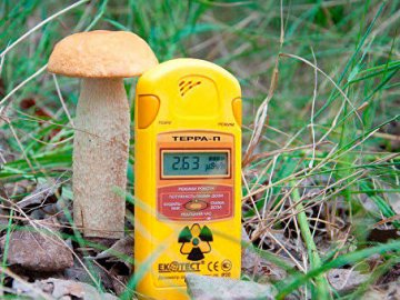 На Волині у грибах та молоці виявили перевищення норми радіації 