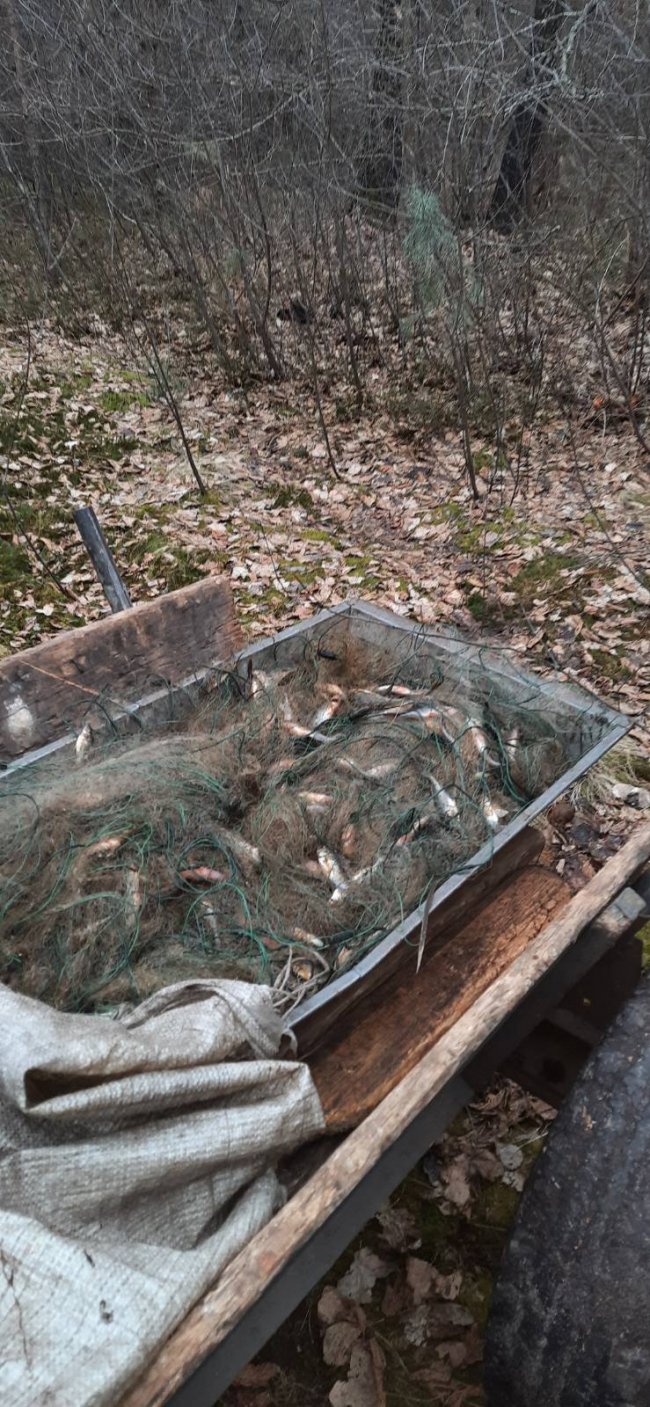 На волинському озері спіймали двох браконьєрів, які ловили рибу сітками. ФОТО 