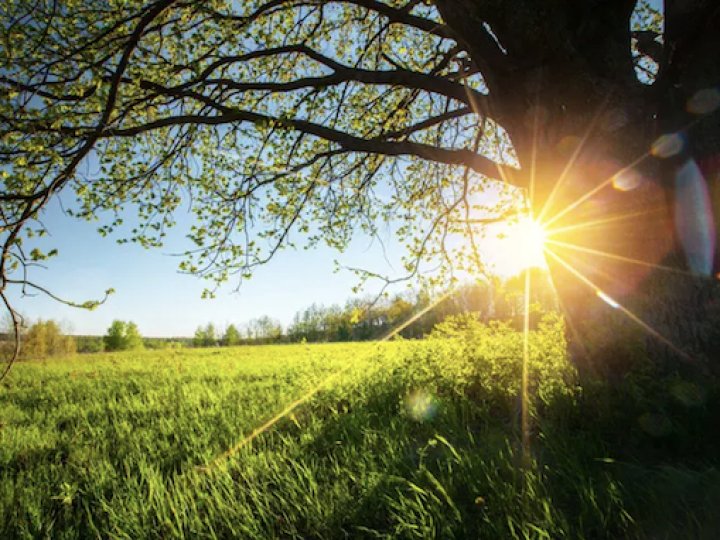 Погода в Луцьку та Волинській області на завтра, 19 липня