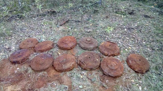 На Волині знешкодили 30 боєприпасів 