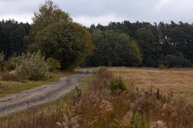 Давно забутий Трохимбрід на світлинах волинського фотографа