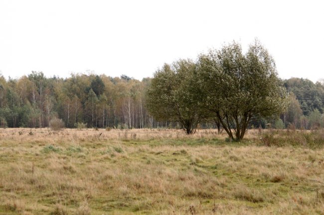 Давно забутий Трохимбрід на світлинах волинського фотографа