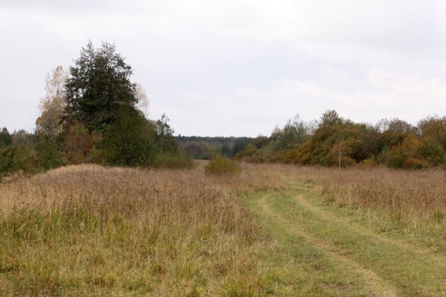 Давно забутий Трохимбрід на світлинах волинського фотографа