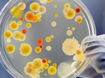 В Україні – ще одна смерть від ботулізму