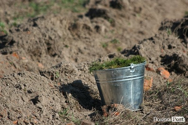 Луцьке сміттєзвалище посадовці обсаджують лісом. ФОТО. ВІДЕО