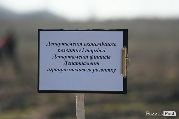 Луцьке сміттєзвалище посадовці обсаджують лісом. ФОТО. ВІДЕО