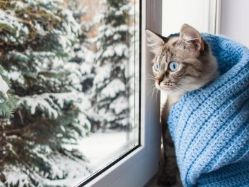 Погода у Луцьку на завтра, 20 грудня