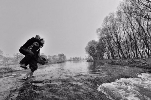 Два китайці посадили 10 тисяч дерев