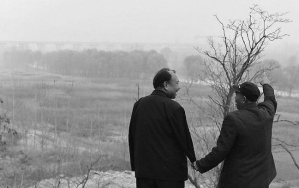 Два китайці посадили 10 тисяч дерев