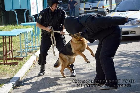 Волинські поліцейські відвідали вихованців дитячого табору «Ровесник». ФОТО