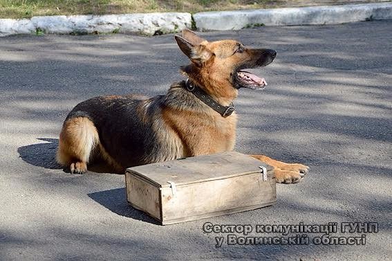 Волинські поліцейські відвідали вихованців дитячого табору «Ровесник». ФОТО
