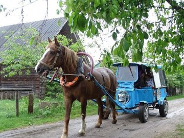 Волинянин змайстрував карету, яка возить малюків до дитсадка і в школу. ФОТО