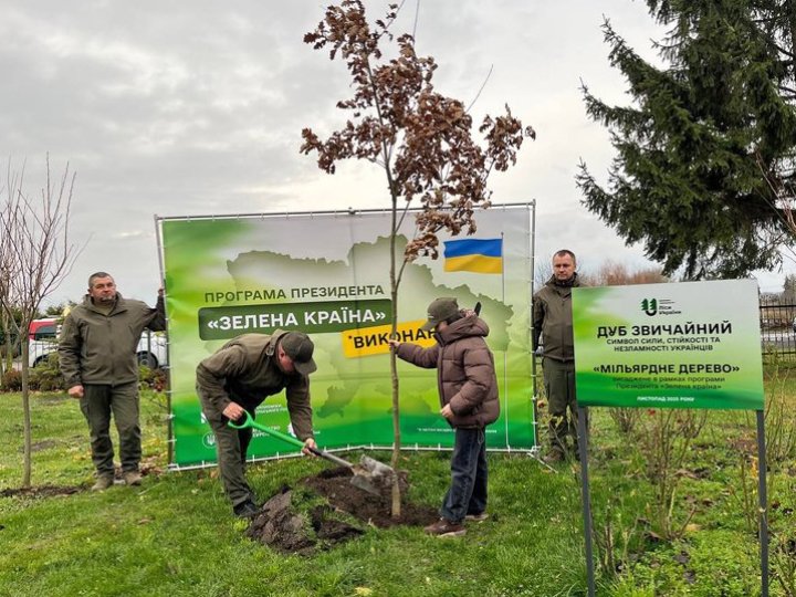 На Волині висадили символічне мільярдне дерево. ВІДЕО