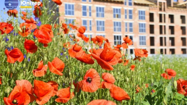 Найкращі пропозиції купівлі житла у серпні від «Інвестора».  ФОТО. ВІДЕО*