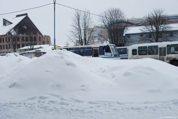 Через негоду з Луцька не виїхали 59 автобусів. ФОТО