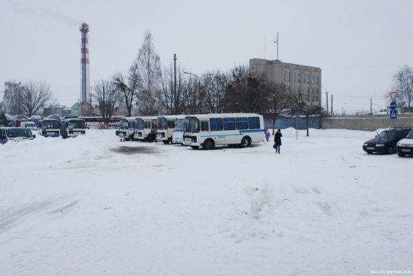 Через негоду з Луцька не виїхали 59 автобусів. ФОТО