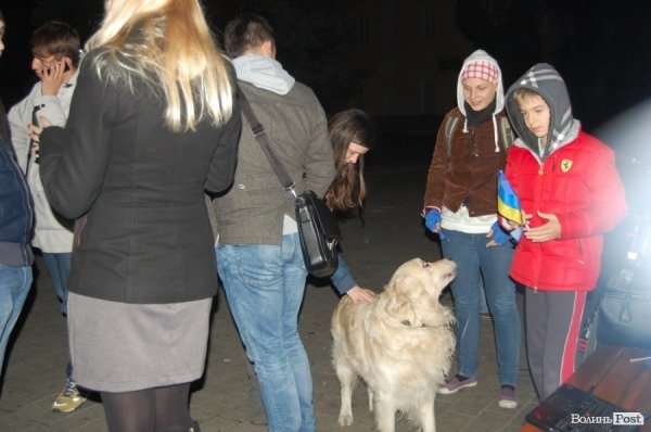 У Луцьку активісти збиралися на Театральному майдані. ФОТО. ВІДЕО
