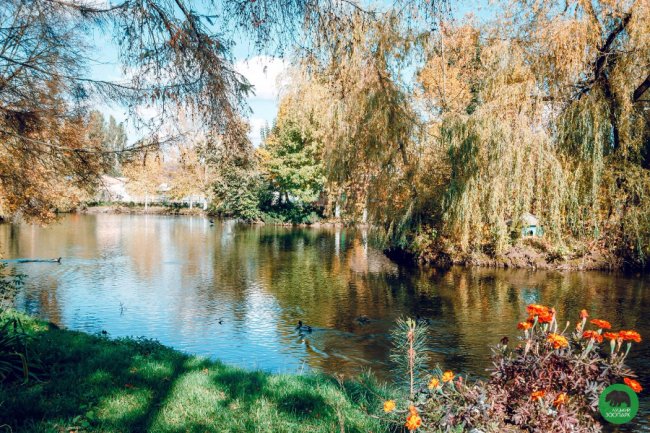 Жовтогаряча осінь у Луцькому зоопарку. ФОТО