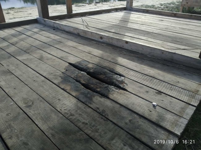 На Волині вандали пошкодили новостворений дендропарк. ФОТО