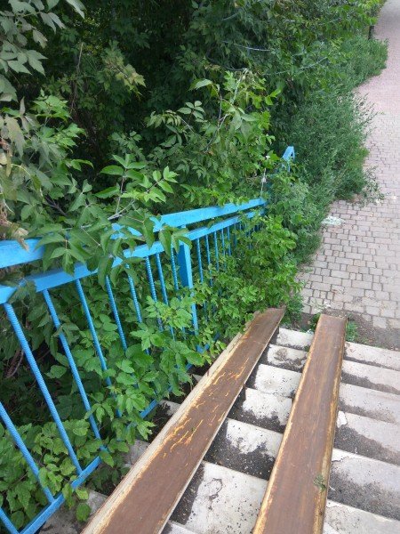 Пандуси на луцькому мосту заросли бур'яном. ФОТО