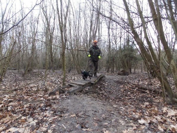 Поблизу Луцька випробовували мисливських собак. ФОТО