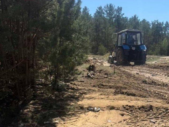 На Волині виявили рештки тварин, розкидані по полю