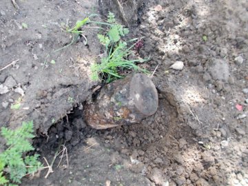 На Волині підірвали півтора десятка снарядів