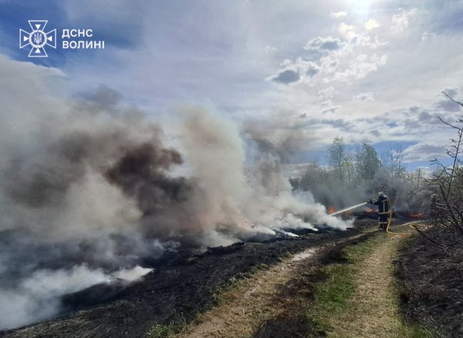 На Волині пожежники наклали на порушників майже 100 штрафів