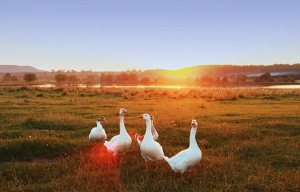 Визначили переможців фотоконкурсу «Моє літо» від ВолиньPost