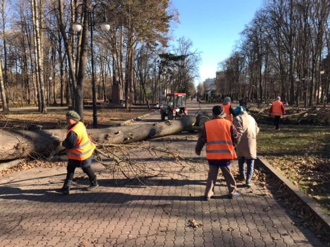 Повалені дерева і розтрощені авто: в Україні вирує ураганний вітер. ФОТО