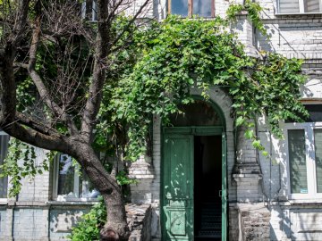 Дикий виноград на будинках: як зелені ліани захоплюють луцькі стіни. ФОТО