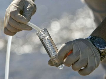 Поблизу Луцька у Стиру виявили загибель риби: результати аналізу проб води