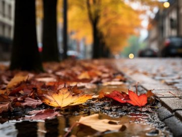 Погода у Луцьку та Волинській області на завтра, 30 жовтня