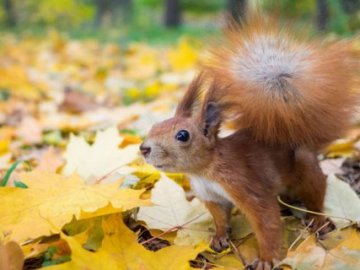 23 жовтня – яке сьогодні свято і чому цей день треба присвятити благодійності