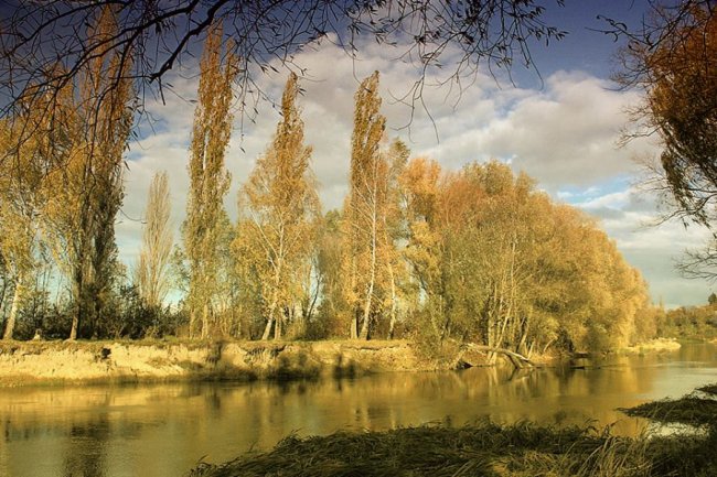Автор фото - Олег Бурлака