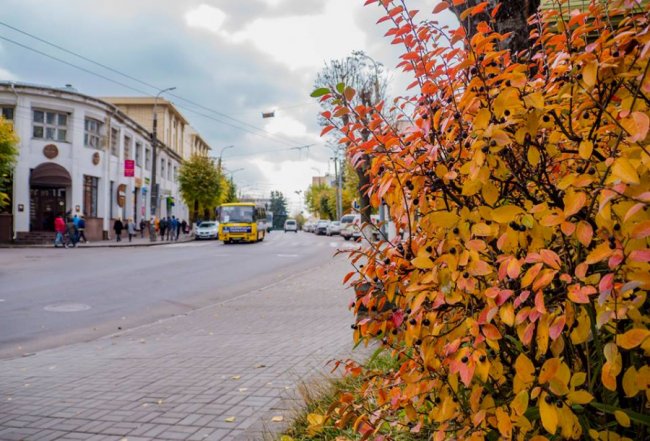 Автор фото - Юрій Фетисов