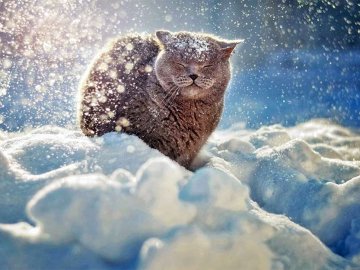 Які зими чекають на українців: прогноз кліматолога