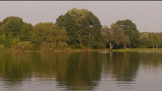 Волинське озеро продають на OLX