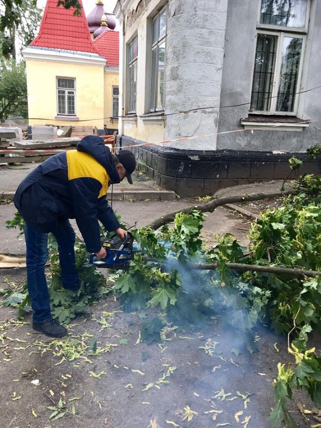 Поламані дерева і підтоплені вулиці: як у Володимирі усували наслідки негоди. ФОТО
