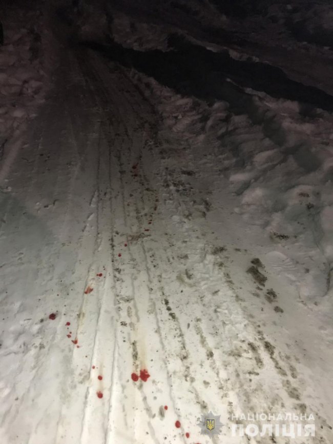 На Київщині 17-річний хлопець сильно побив молодшу сестру і покинув помирати на морозі. ФОТО