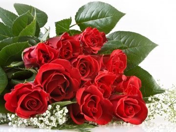 8 лютого на Волині: гортаючи календар