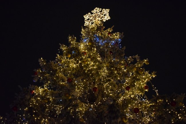 Як виглядають головні ялинки різних міст України. ФОТО