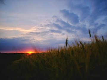 Дивовижні фото заходу сонця на Волині