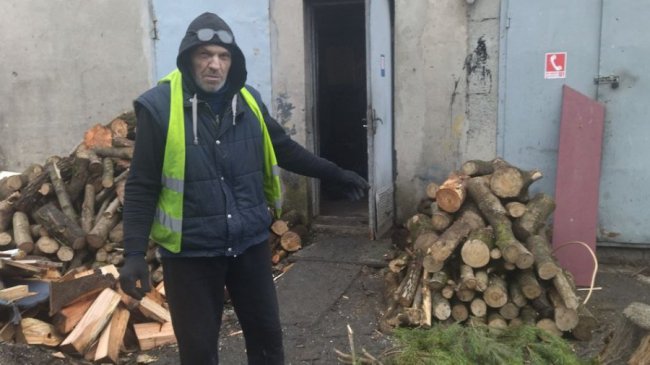 Як у Луцьку збирають та утилізують новорічні дерева. ВІДЕО