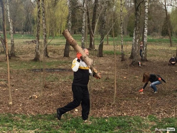 У Луцьку працівники ПриватБанку прибирали і садили дерева в парку ім. Лесі Українки. ФОТО