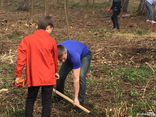 У Луцьку працівники ПриватБанку прибирали і садили дерева в парку ім. Лесі Українки. ФОТО